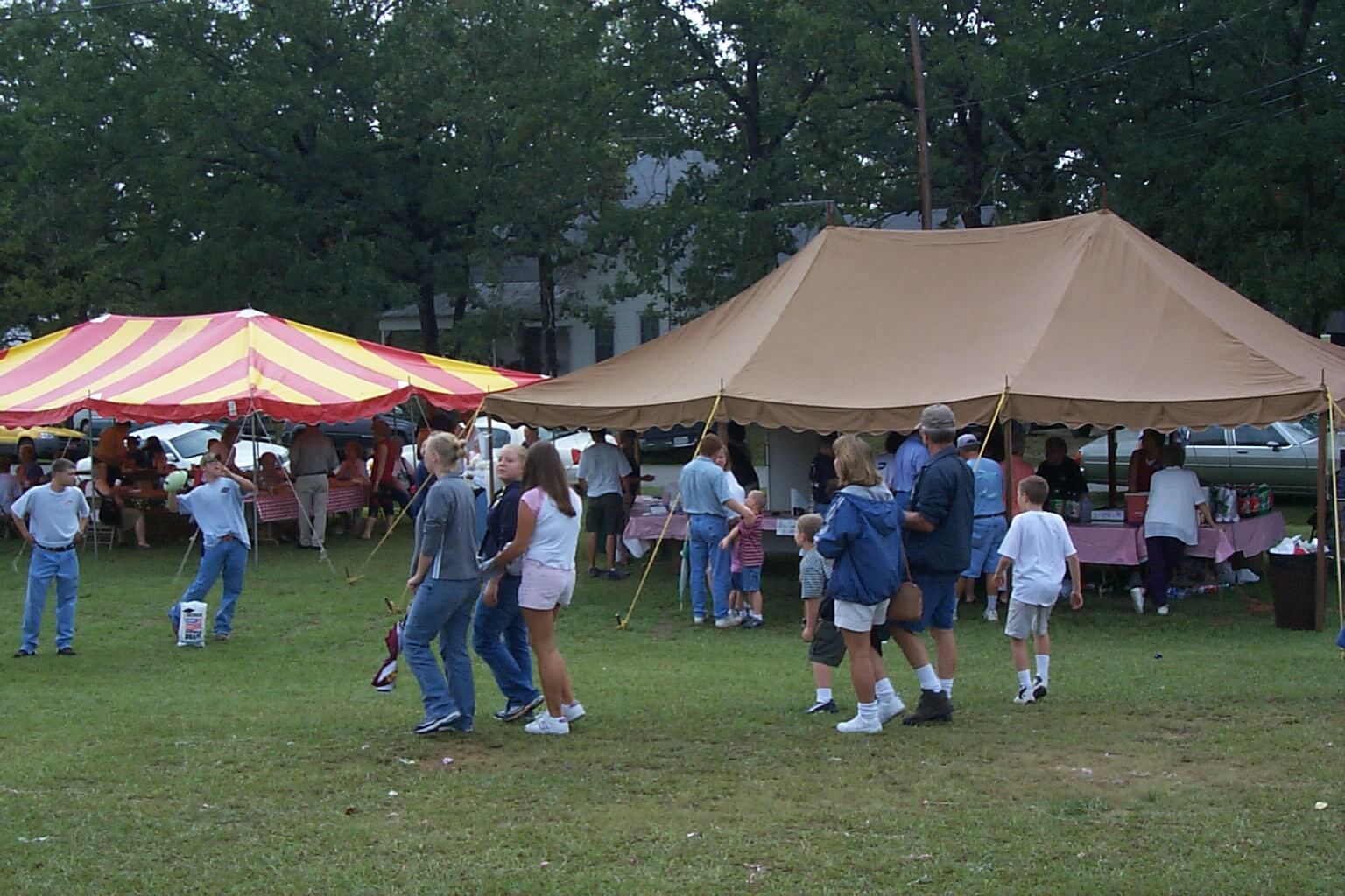 Fortsonia Day 2002
